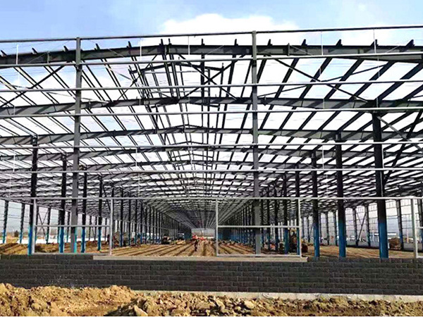 O1CN01bPnwHq1IN5HaZTSDY_!!974270880-0-cib